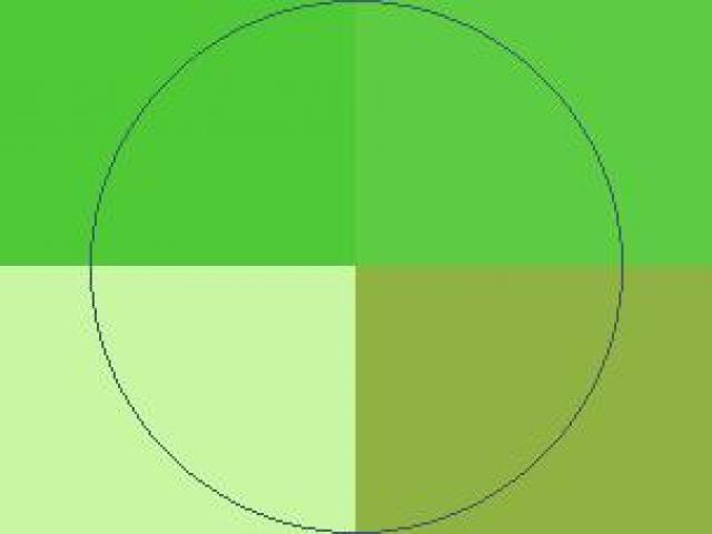 Hendrerit nibh quadrum typicus.