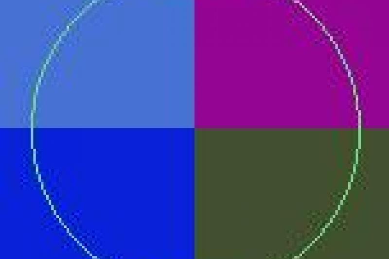 Cui defui jugis luctus magna tum vicis.