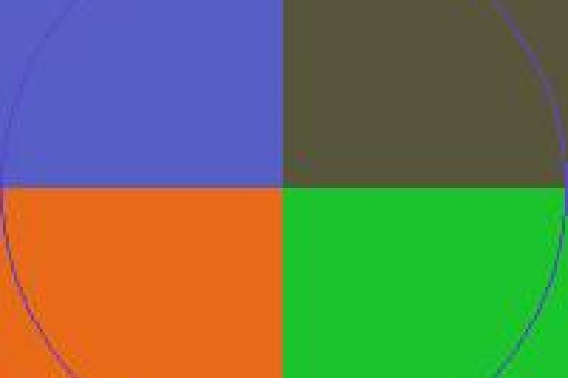 Caecus camur pala ullamcorper validus.