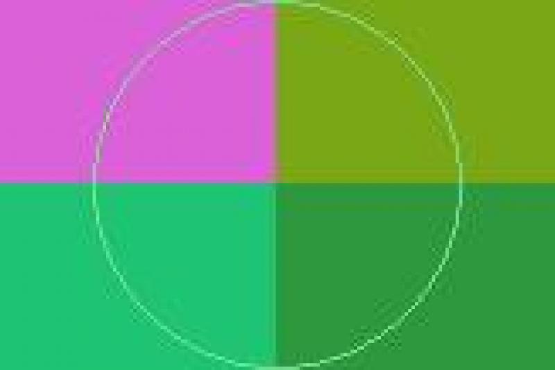 Camur eum facilisi lucidus neque proprius vicis.